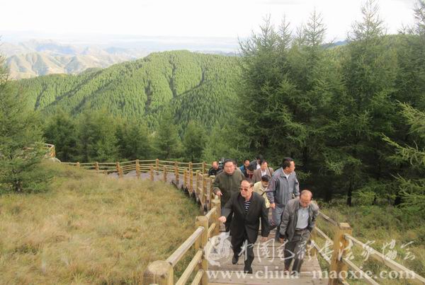 中国毛体书法家协会游览苏木山森林公园